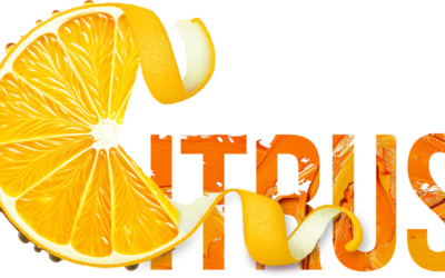 IslemagTV: Citrus All Inclusive